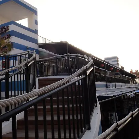 A From 滨海帕尔姆